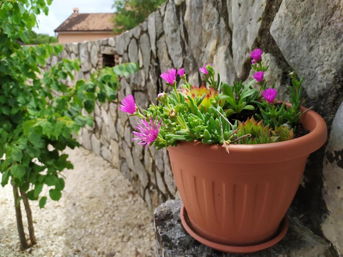 Mama Residence Rovinjsko Selo Dış mekan fotoğraf