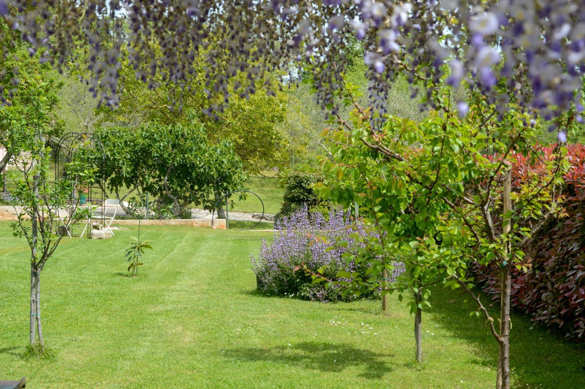 Mama Residence Rovinjsko Selo Dış mekan fotoğraf